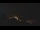 Webcam in Castelvetro di Modena, 45.7 km