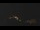 Webcam in Castelvetro di Modena, 12.9 mi away