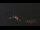 Webcam in Castelvetro di Modena, 33.5 km entfernt