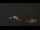 Webcam in Castelvetro di Modena, 31.7 km entfernt