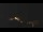 Webcam in Castelvetro di Modena, 2.9 mi away
