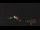Webcam in Castelvetro di Modena, 14 mi away