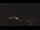 Webcam in Castelvetro di Modena, 19.8 km