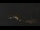 Webcam in Castelvetro di Modena, 7.5 km