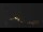 Webcam in Castelvetro di Modena, 8.5 km entfernt