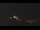Webcam in Castelvetro di Modena, 35.3 km entfernt