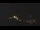 Webcam in Castelvetro di Modena, 33 km entfernt