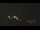 Webcam in Castelvetro di Modena, 2.9 mi away