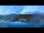 Webcam in Båtsfjord, 1819.5 km