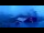 Webcam in Gemmipass, 4.2 km