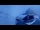 Webcam am Gemmipass, 10.1 km entfernt