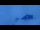 Webcam al Passo Gemmi, 6.8 km