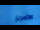 Webcam am Gemmipass, 9.9 km entfernt