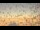 Webcam at the Halley Research Station, 617.6 mi away