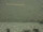 Webcam alla Bird Island Research Station, 1874.8 km