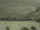 Webcam bei der Bird Island Research Station, 1874 km entfernt