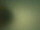 Webcam at the Bird Island Research Station, 841.8 mi away