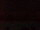 Webcam bei der Bird Island Research Station, 105.6 km entfernt
