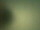 Webcam at the Bird Island Research Station, 723 mi away