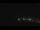 Webcam in Palmer Station, 1494.7 km