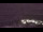 Webcam at the Palmer Station, 436.9 mi away