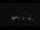 Webcam bei der Palmer Station, 360.2 km entfernt