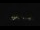 Webcam at the Palmer Station, 905.1 mi away