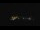 Webcam at the Palmer Station, 437 mi away
