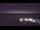 Webcam at the Palmer Station, 437.1 mi away