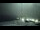 Webcam at the Palmer Station, 437.1 mi away
