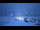 Webcam at the Palmer Station, 437.1 mi away
