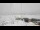 Webcam bei der Palmer Station, 2805 km entfernt