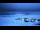 Webcam à la Palmer Station, 1496.6 km
