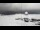 Webcam at the Palmer Station, 437.1 mi away