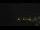 Webcam at the Palmer Station, 577.8 mi away