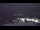 Webcam alla Palmer Station, 1917.1 km