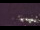 Webcam à la Palmer Station, 2681.7 km