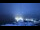 Webcam at the Palmer Station, 577.8 mi away