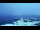Webcam à la Palmer Station, 1777.6 km