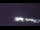 Webcam à la Palmer Station, 4007.8 km