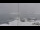 Webcam at the Palmer Station, 159.9 mi away