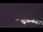 Webcam at the Palmer Station, 682.8 mi away