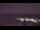 Webcam at the Palmer Station, 437.1 mi away