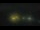 Webcam at the Palmer Station, 698.5 mi away