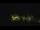 Webcam at the Palmer Station, 739.7 mi away