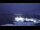 Webcam at the Palmer Station, 905.1 mi away