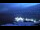 Webcam at the Palmer Station, 437.1 mi away