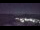 Webcam at the Palmer Station, 905.1 mi away
