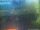 Webcam in Bochum, 8 km entfernt