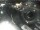 Webcam in Bergkamen, 7.4 mi away